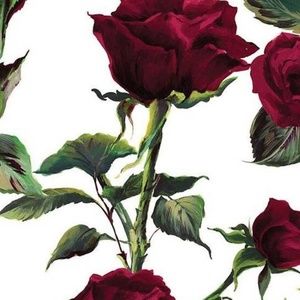 Meet your Posher, Alyson